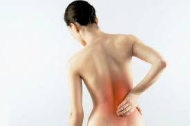 болка во грбот во текот на menses